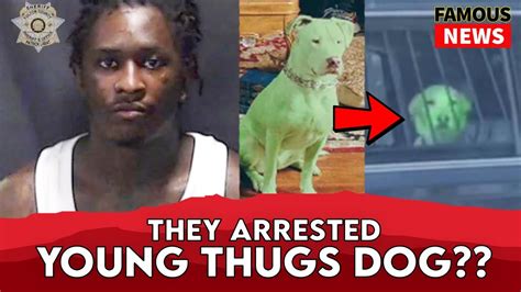 young thug dog arrested.